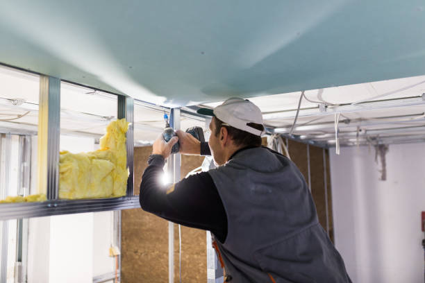 Types of Insulation We Offer in Geneseo, IL