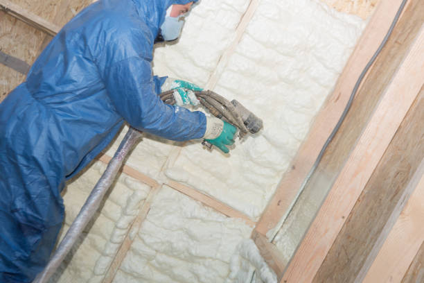 Weatherproofing Services in Geneseo, IL